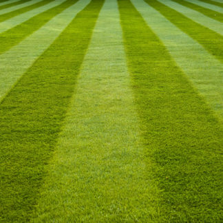 Mown grass pitch stripes
